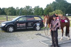 Pferd steht auf einer mobilen Pferdewaage neben einer Frau, im Hintergrund das Comanchi Auto